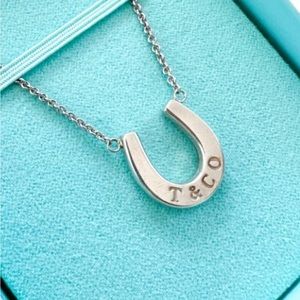 VERY RARE Sterling silver Tiffany & Co. 16” horseshoe necklace. Great condition!